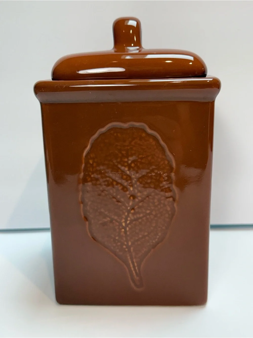 Vintage Lillian Vernon Canister in Brown Raised Botanical Leaf Design